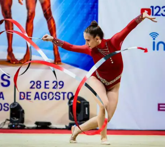 Bazar neste domingo ajuda 11 ginastas de MS a competir em S&atilde;o Paulo 