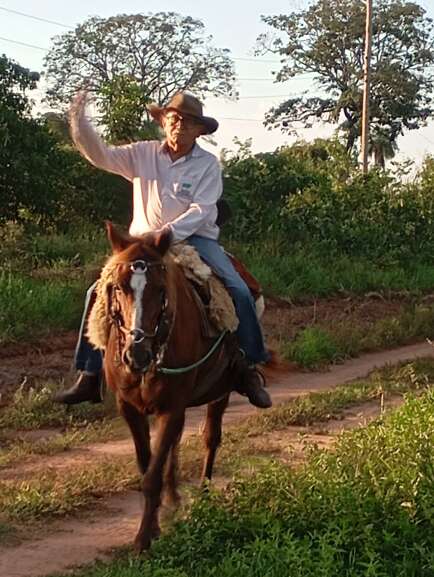 Campo Grande News