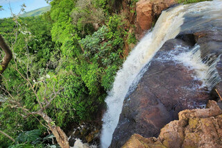 Símbolo da Cachoeira do Inferninho, figueira é arrastada pela força da água Símbolo da Cachoeira do Inferninho, figueira é arrastada pela força da água