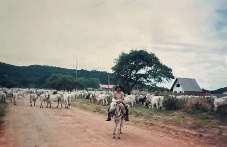 Campo Grande News