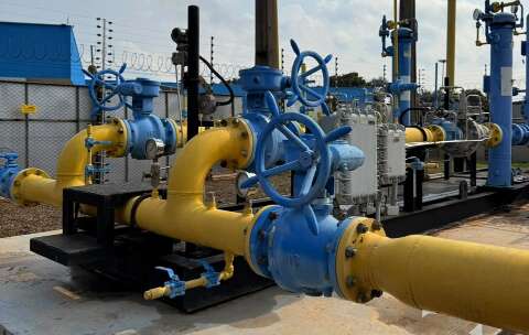 MSG&aacute;s pretende antecipar em 2 meses entrega de gasoduto para f&aacute;brica da Arauco