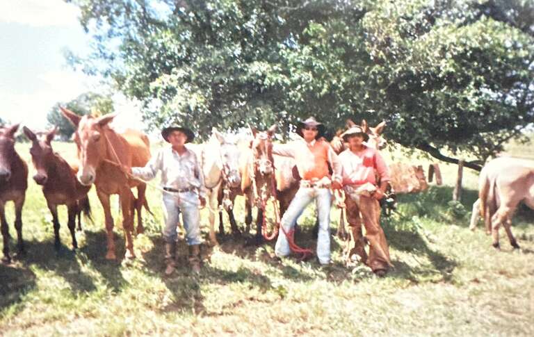 Campo Grande News