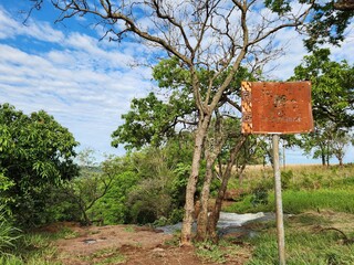 Símbolo da Cachoeira do Inferninho, figueira é arrastada pela força da água Símbolo da Cachoeira do Inferninho, figueira é arrastada pela força da água