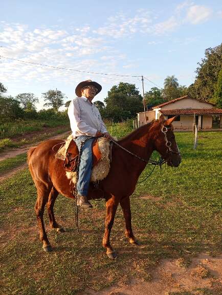 Campo Grande News