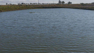 MP investiga fazenda por tanques de peixes e silos em área de Mata Atlântica MP investiga fazenda por tanques de peixes e silos em área de Mata Atlântica