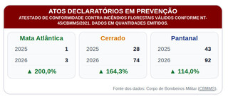 Incêndios atingem 124 mil hectares do Pantanal em Mato Grosso do Sul Incêndios atingem 124 mil hectares do Pantanal em Mato Grosso do Sul