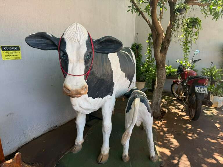 Irene deixou salão para abrir loja com vaca e gostinho de vida na roça