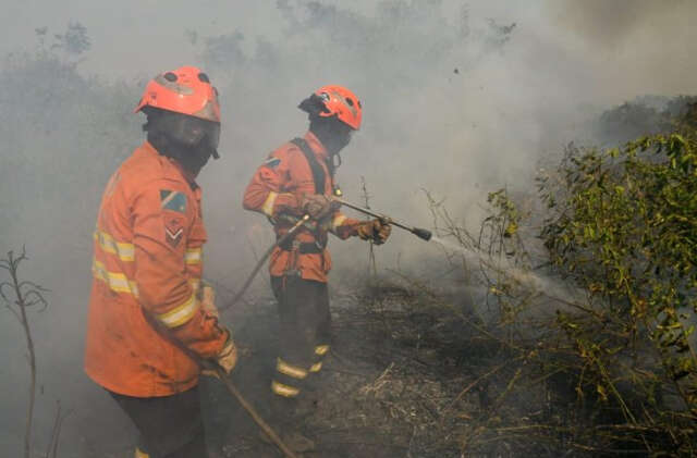 Inc&ecirc;ndios atingem 124 mil hectares do Pantanal em Mato Grosso do Sul