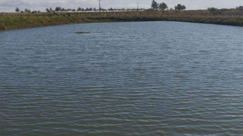 MP investiga fazenda por tanques de peixes e silos em &aacute;rea de Mata Atl&acirc;ntica
