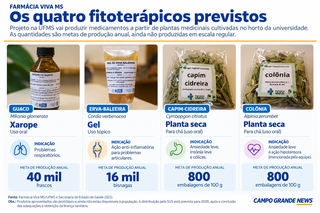 Na UFMS, agricultor e professora trocam saberes para produzir medicamentos