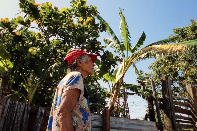 Contra inseguran&ccedil;a alimentar, quintal com horta e bananeira "refor&ccedil;a" o prato 
