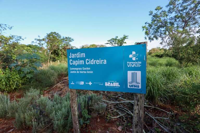 Foto: Paulo Francis