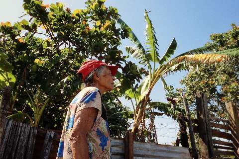 Contra inseguran&ccedil;a alimentar, quintal com horta e bananeira "refor&ccedil;a" o prato 