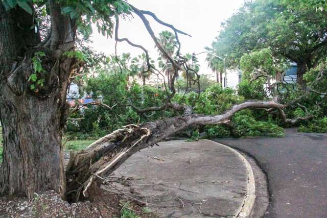 MS ter&aacute; quatro dias de alerta para tempestades e ventos de at&eacute; 60 km/h