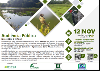 Projeto prevê desmatamento no Pantanal de área quase 4 vezes maior que Noronha Projeto prevê desmatamento no Pantanal de área quase 4 vezes maior que Noronha