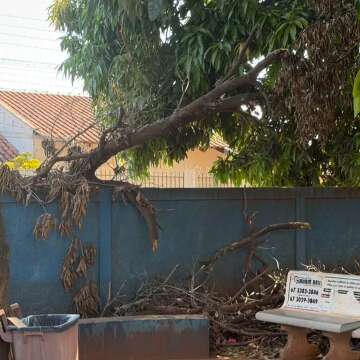 Paciente mostra condi&ccedil;&otilde;es do CRS Aero Rancho: "apar&ecirc;ncia de abandono"
