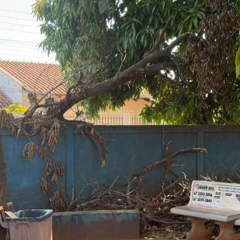 Paciente mostra condi&ccedil;&otilde;es do CRS Aero Rancho: "apar&ecirc;ncia de abandono"