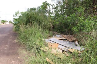 Terreno vira ponto de descarte irregular no Panam&aacute; e moradores adotam at&eacute; jiboia