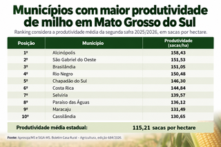 Produção de milho chega a 16,2 milhões de toneladas em MS Produção de milho chega a 16,2 milhões de toneladas em MS