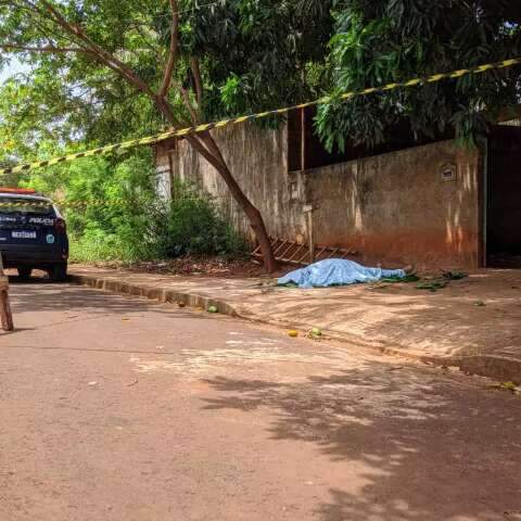  Idoso morre ap&oacute;s cair de escada enquanto podava &aacute;rvore