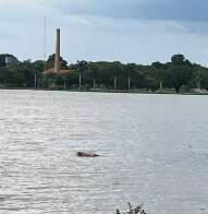 Corpo de homem é encontrado boiando na Lagoa Maior de Três Lagoas