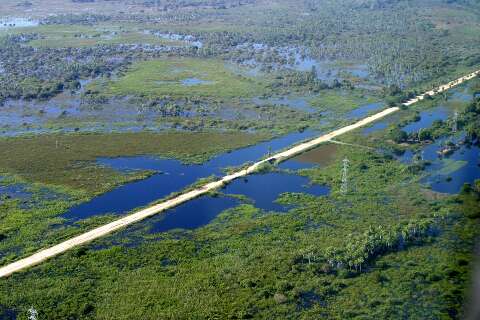 Fiocruz recebe R$ 2,1 milh&otilde;es para investigar riscos de doen&ccedil;as no Pantanal