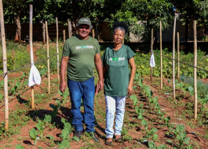 Casal abandona o fiado e melhora a renda com horta em Cassilândia