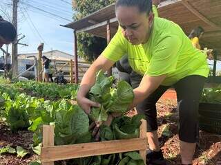 Da terra ao prato, horta quilombola faz florescer histórias e tradições