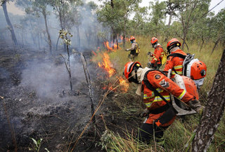 Estudo aponta cheia mais curta e fogo prolongado no Pantanal Estudo aponta cheia mais curta e fogo prolongado no Pantanal
