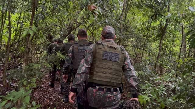 Brazil: Environmental authorities launch anti-poaching operation in Pantanal