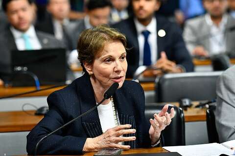 Disputa pelo Senado exp&otilde;e limites da articula&ccedil;&atilde;o pol&iacute;tica de Tereza Cristina