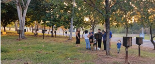 Parque ter&aacute; passeio por colmeias de abelhas sem ferr&atilde;o neste s&aacute;bado