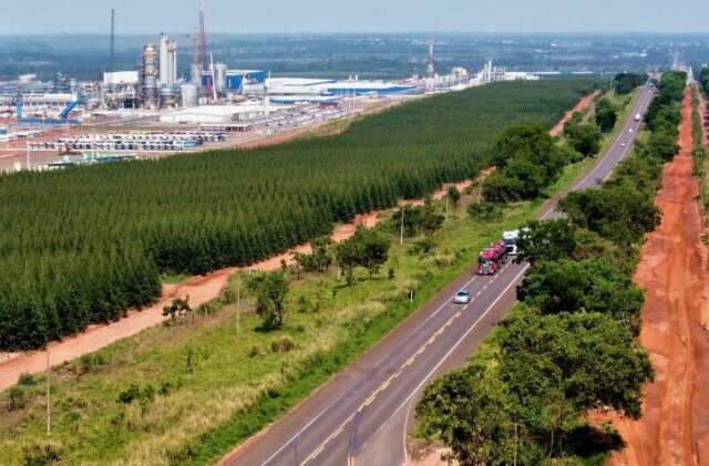 Setor de celulose entra na primeira etapa do mercado regulado de carbono
