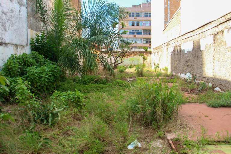 Campo Grande News