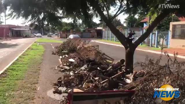 Morador flagra descarte irregular em canteiro de avenida lotado de lixo