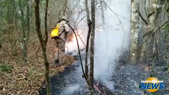 Incêndio atinge Parque Estadual em Ivinhema