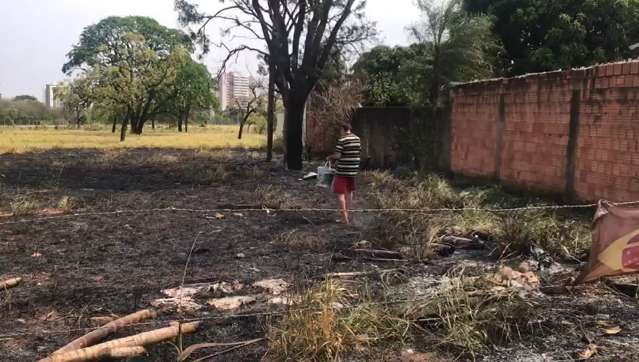 Com mangueira e baldes, morador controla incêndio e salva ninho de araras