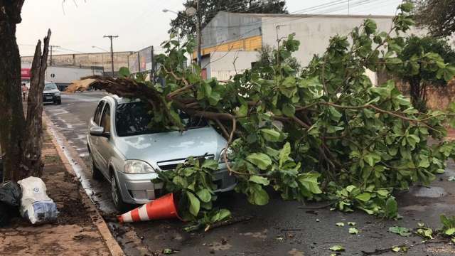 Carro em movimento é atingido por galho durante chuva com ventos fortes