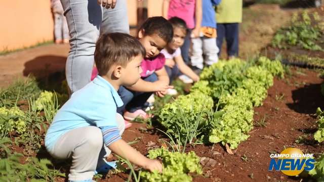 Em programa de hortas, crianças aprendem cultivo e sabor de verduras e legumes