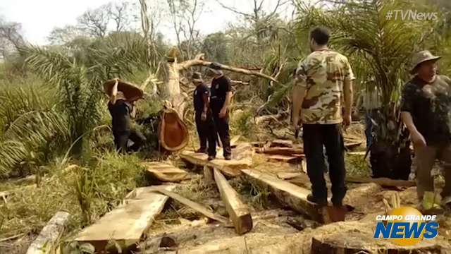 Operação da PF combate crime ambiental na reserva Kadiwéu