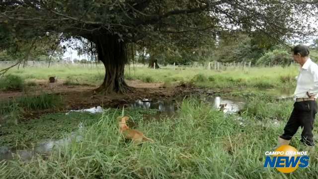 Projeto cerca nascentes do Pantanal em propriedades rurais