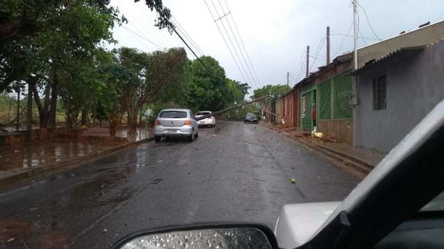 Queda de 7 postes em Rua do Zé Pereira