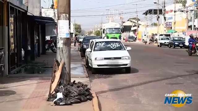 Em Campo Grande, &#34;donos das ruas&#34; se multiplicam