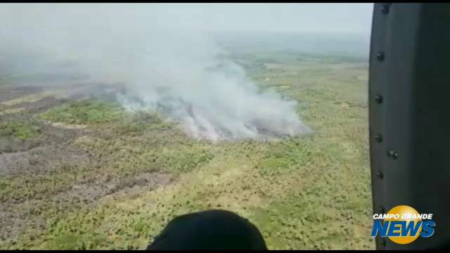 Fogo na região pantaneira já consumiu 122 mil hectares de vegetação