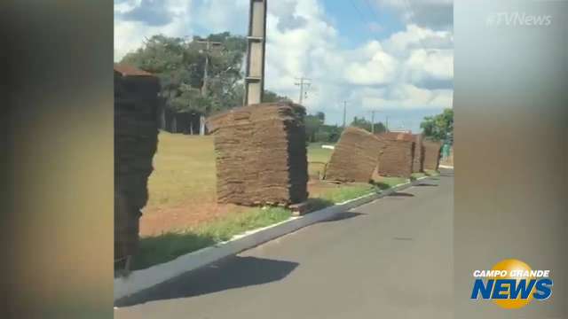 Leitora registra aplicação de grama em canteiro verde no Jardim Montevidéu