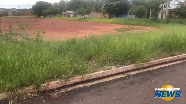 Campo de futebol abandonado atrai animais e moradores reclamam