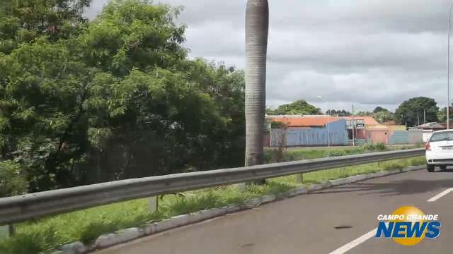 Palco de acidentes, só 10,8% da Ernesto Geisel possui guard rail