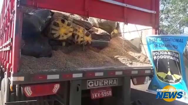 Polícia encontra duas toneladas de maconha em carga de farelo de aveia