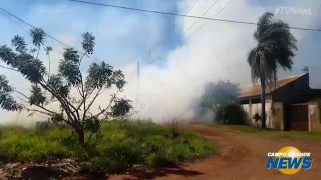 Incêndio em terreno baldio incomoda moradores no Moreninha IV