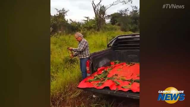 Leitor flagra descarte irregular em terreno no Rita Vieira